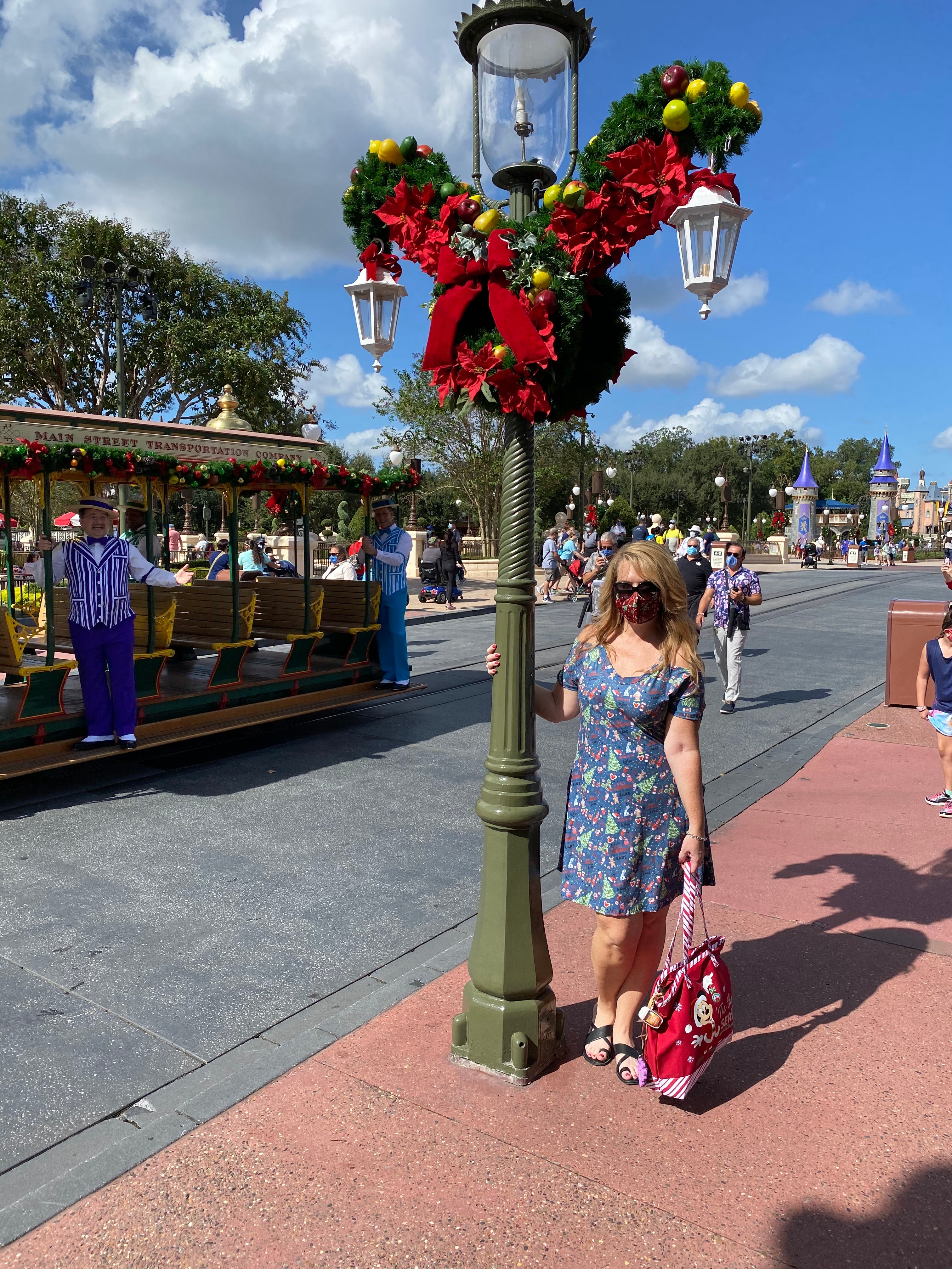 Magical Holiday Gray Gracie Dress